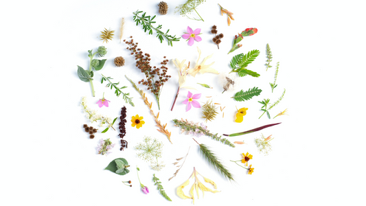 A Clean-Living Guide to the Most Beneficial Botanicals!